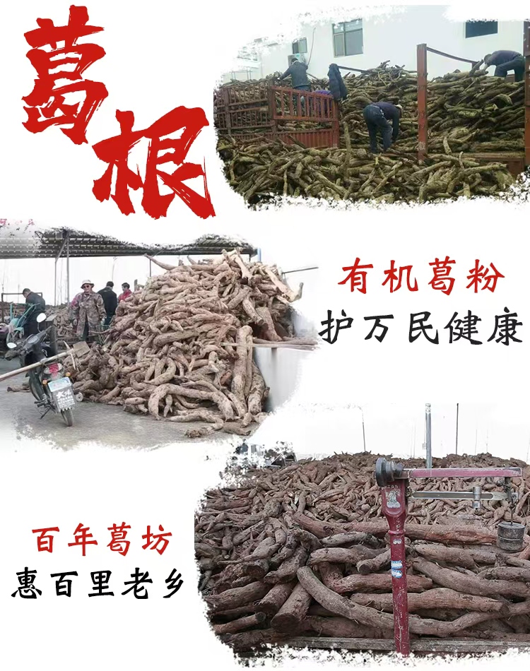 1748424077826208.jpg 收葛根圖.jpg