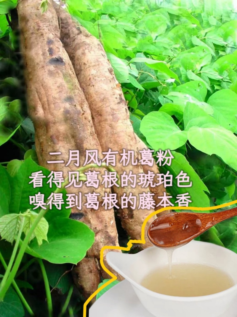 二月風有機葛粉，看得見葛根的琥珀色，嗅得到葛根的藤本香_800.jpg