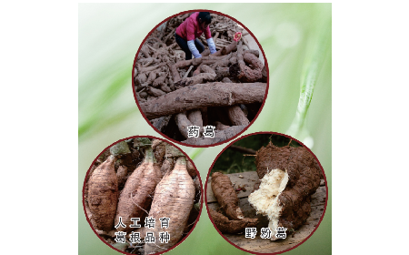 買葛粉是買野生的好？還是野生有機的好？