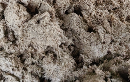 深入大洪山，只為一口純凈 -二月風今冬野生葛根收購紀實